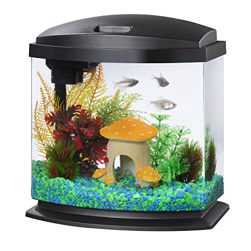Aqueon LED MiniBow 2.5 Gallon aquarium front view