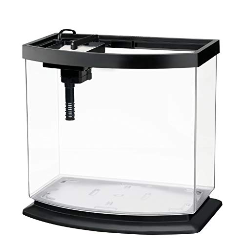 Black Aqueon MiniBow tank with LED hood