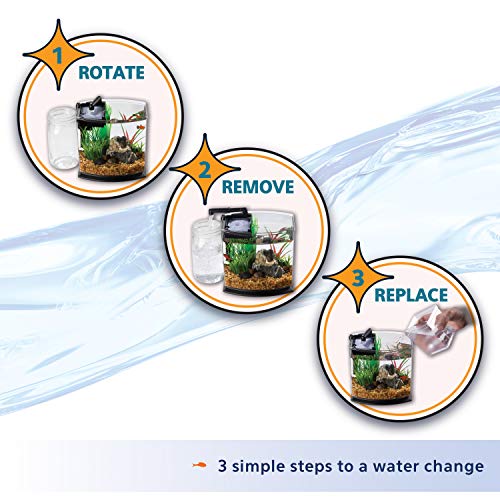 Aqueon aquarium starter kit contents