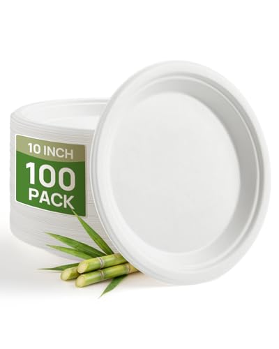 Goodluck 10 Inch White Compostable Sugarcane Paper Plates top view