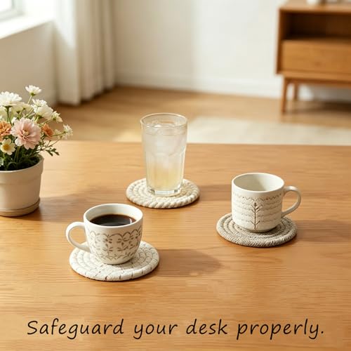 Coasters used as decor for a potted plant