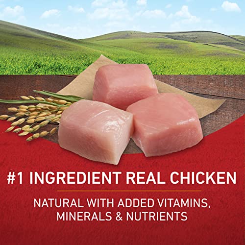 Purina ONE dog food ingredient list