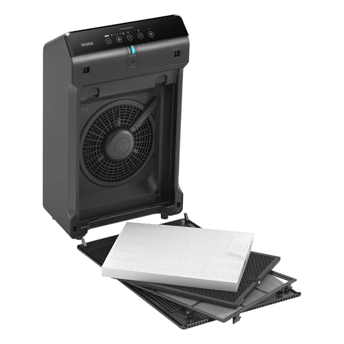 Winix 5510 in a living room setting