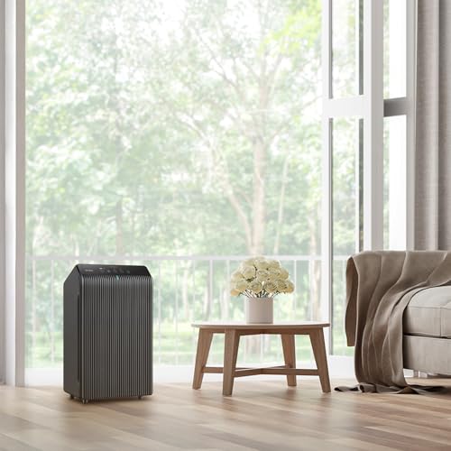 Winix 5510 charcoal gray finish detail