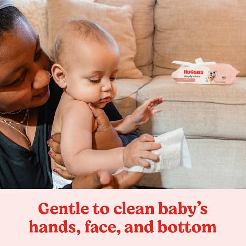 Huggies Simply Clean 192 count bundle