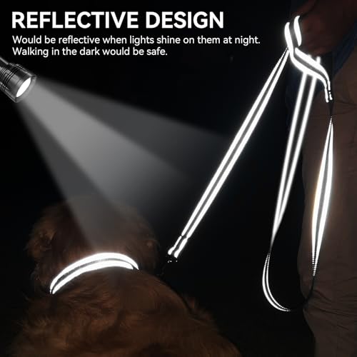 Heavy-duty metal swivel clasp on Joytale black leash