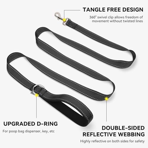Joytale leash with attached accessory D-ring