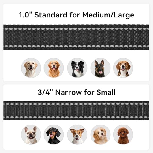 Full view of 6 FT Joytale reflective leash for large dogs