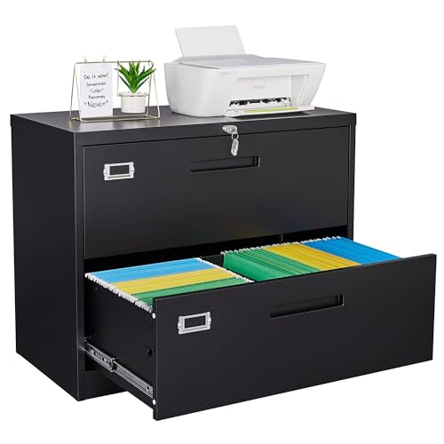 Letaya 2-Drawer Metal Lateral File Cabinet