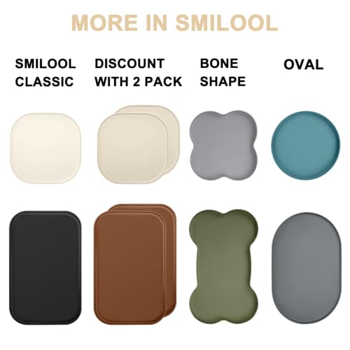 Easy clean silicone pet mat