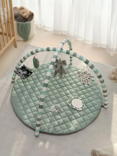 Blissful Diary baby gym with 6 detachable toys