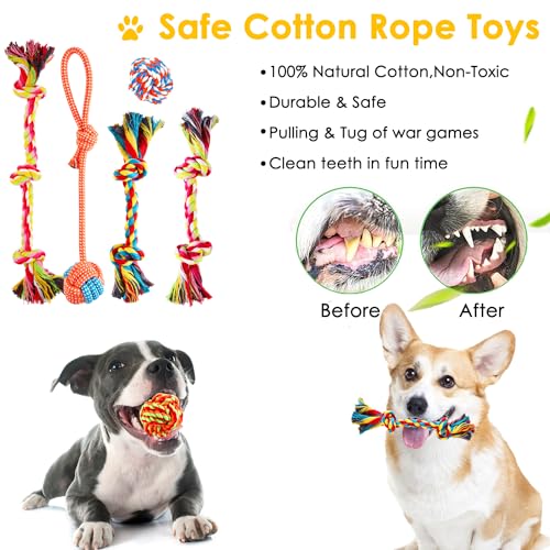 Flying disc dog toy by Aipper