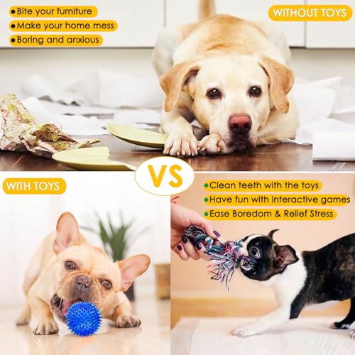 Poop bag dispenser and roll accessory