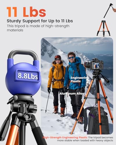 CAMBOFOTO tripod head detail and quick release plate