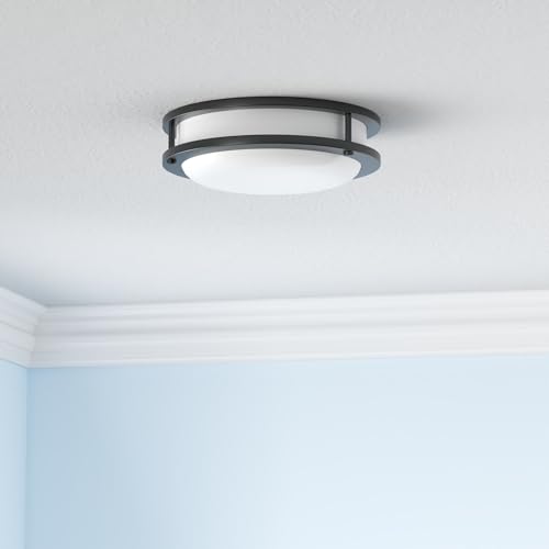 Oil-rubbed bronze frame ceiling light details