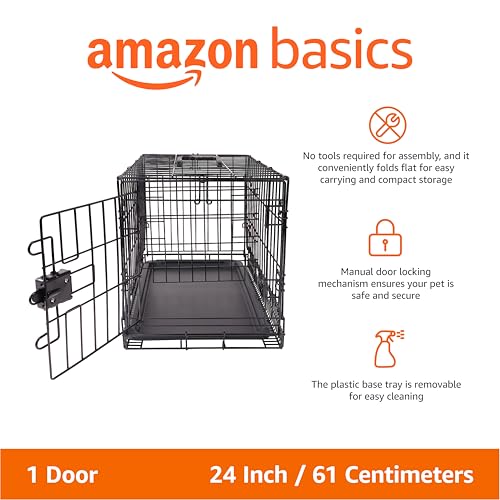 Folded Basics portable dog crate for storage