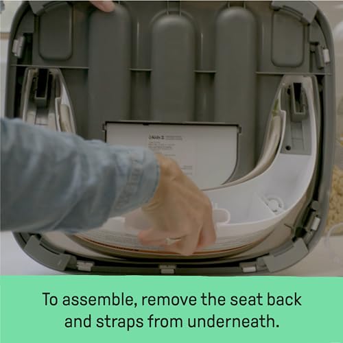 Ingenuity floor seat without tray