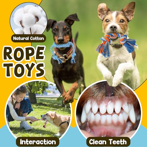 Durable rope dog chew toys included in set