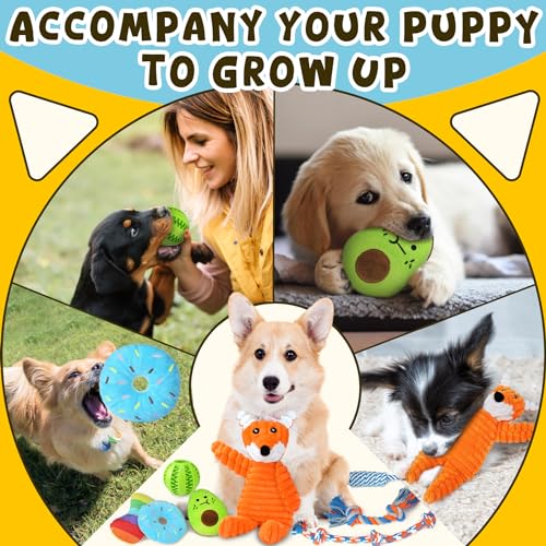 Full collection of Zeaxuie 9 pack pet toys