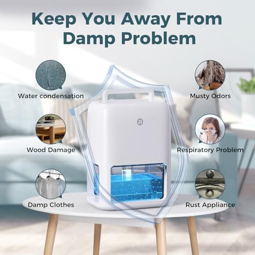 BREEZOME dehumidifier packaged unit