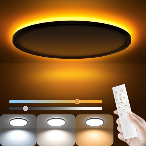AmazeFan 12-inch black LED ceiling light