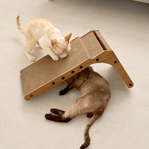Finished cat scratcher setup in living room