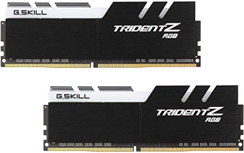Dual channel G.SKILL RAM kit packaging
