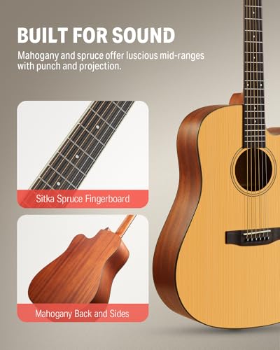 Donner acoustic guitar showing the spruce top and cutaway