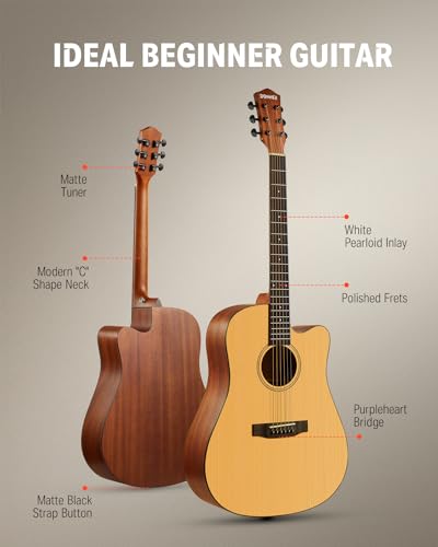 Donner guitar accessory bundle with gig bag and tuner