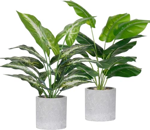 Der Rose 16 inch fake plants set