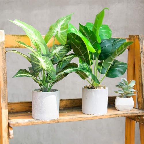 Artificial greenery on a shelf