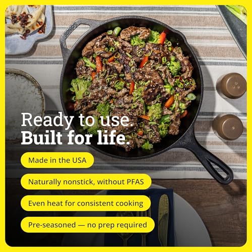 Lodge skillet seasoned non-stick surface