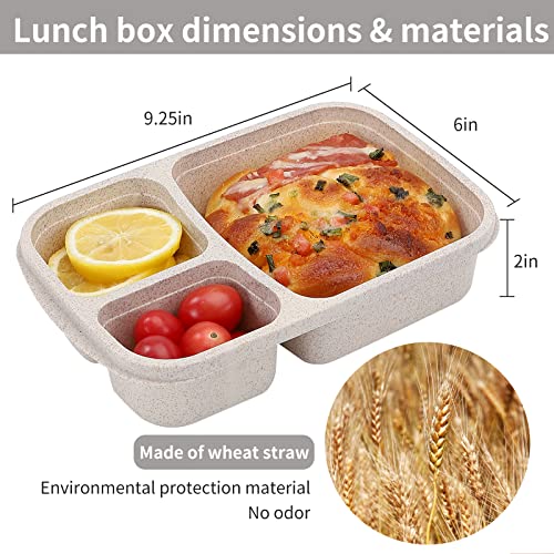 Light colour wheat straw lunch containers
