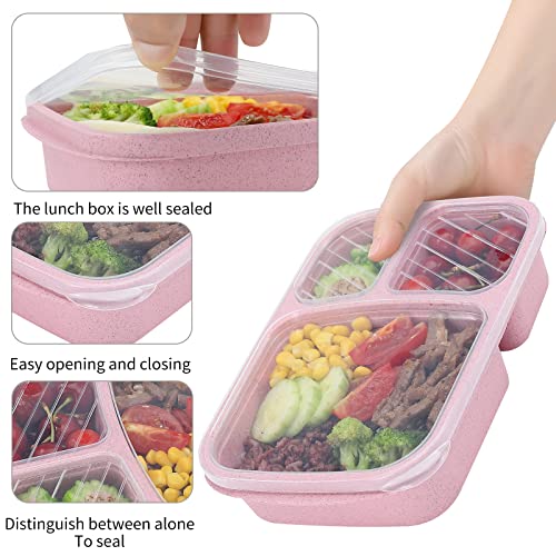 Three compartment food storage view