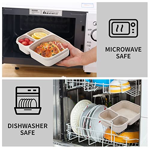 Microwave safe wheat straw bento box