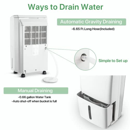 Waykar 34 Pints Dehumidifier in a basement setting