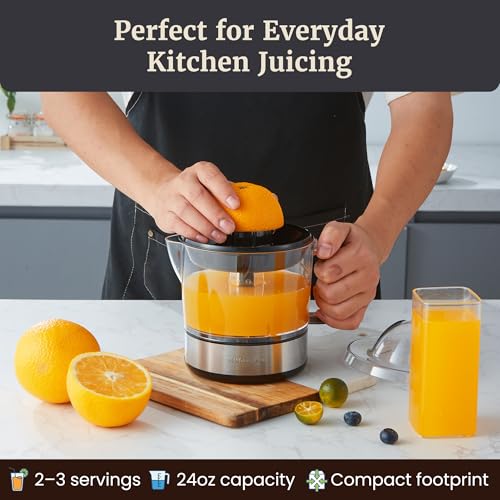 24 oz juicer pitcher with pulp filter