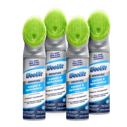 Bissell Woolite Advantage 4 Pack box