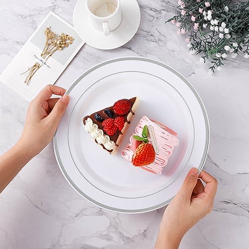 BESTVIP YS-100 plates set on a table