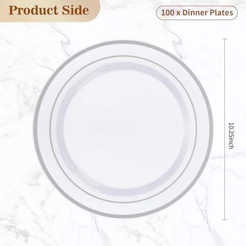 100 count BESTVIP plastic plate packaging