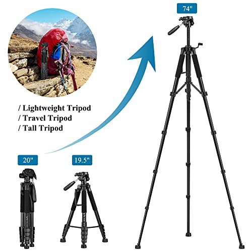 Victiv NT70 tripod 3-way pan head detail