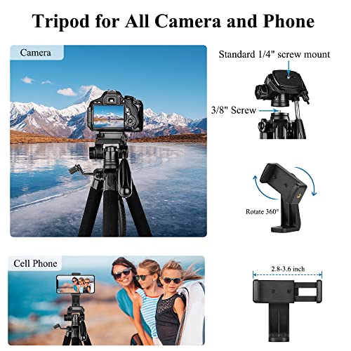 Victiv tripod with smartphone holder attached