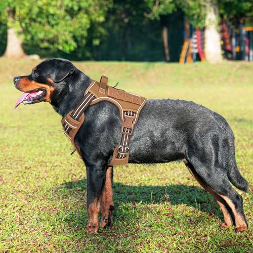 Large brown dog harness with Molle strips