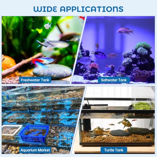 packaging and components of hygger HG156 aquarium heater