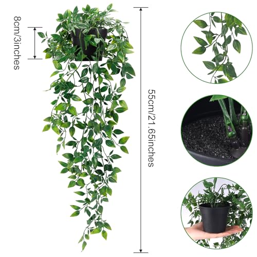 Close up of Whonline hanging plant leaves