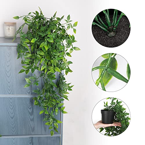 Whonline small potted plant for office decor