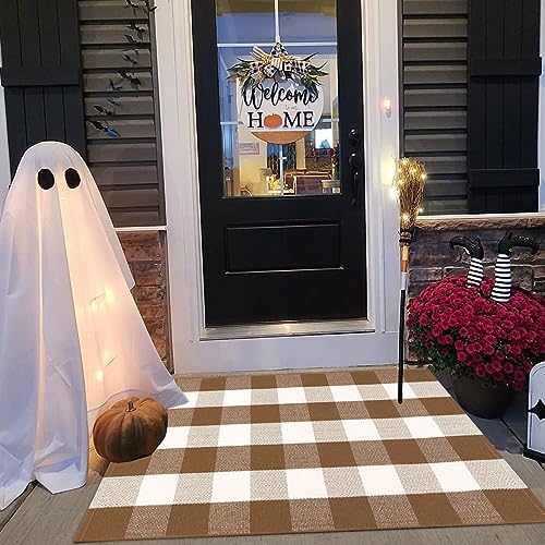 Layered entryway decor with coffee plaid rug