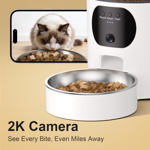 Minikey automatic feeder 2K camera view