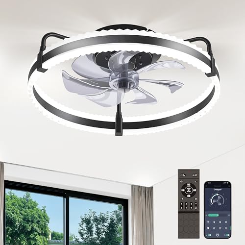 Crazypai 20-inch black ceiling fan with light