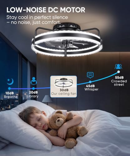Ceiling fan remote and app interface